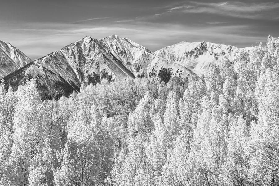 Colorado Rocky Mountain Autumn Beauty Black and White  Print