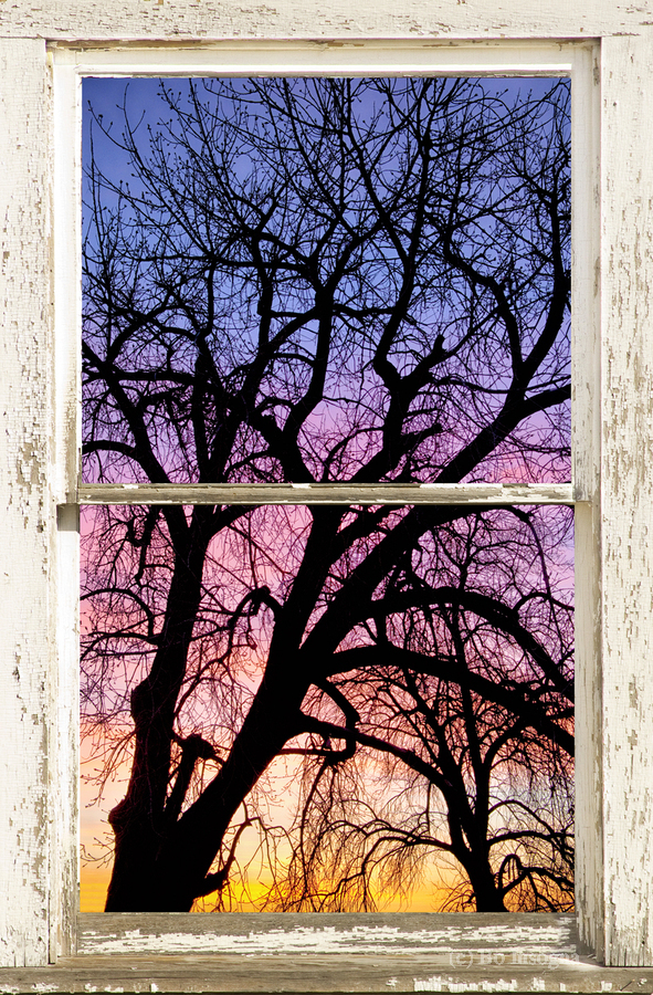 Colorful Tree White Farm House Window Portrai  Imprimer