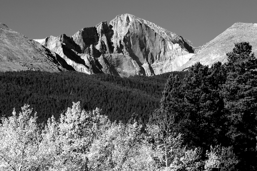 Longs Peak Autumn Aspen Landscape View BW  Imprimer