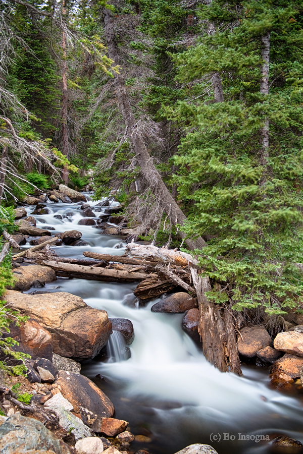 Rocky Mountain Stream  Print