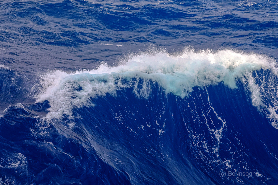 Serenity as the Ocean Waves Crest  Print