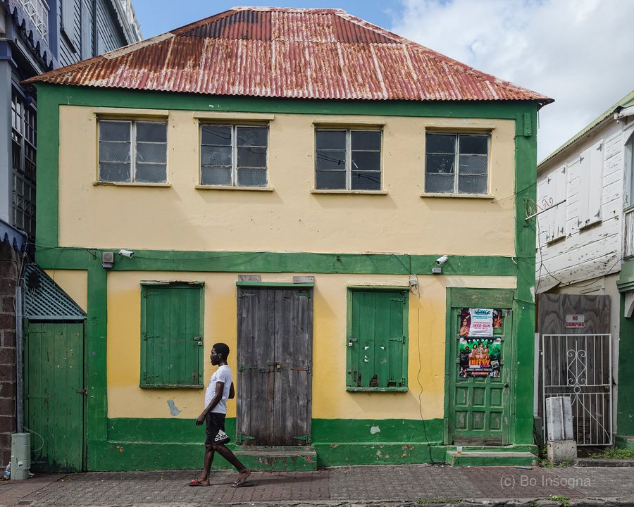 Vibrant Colors and Textures of Caribbean Island Life   Imprimer