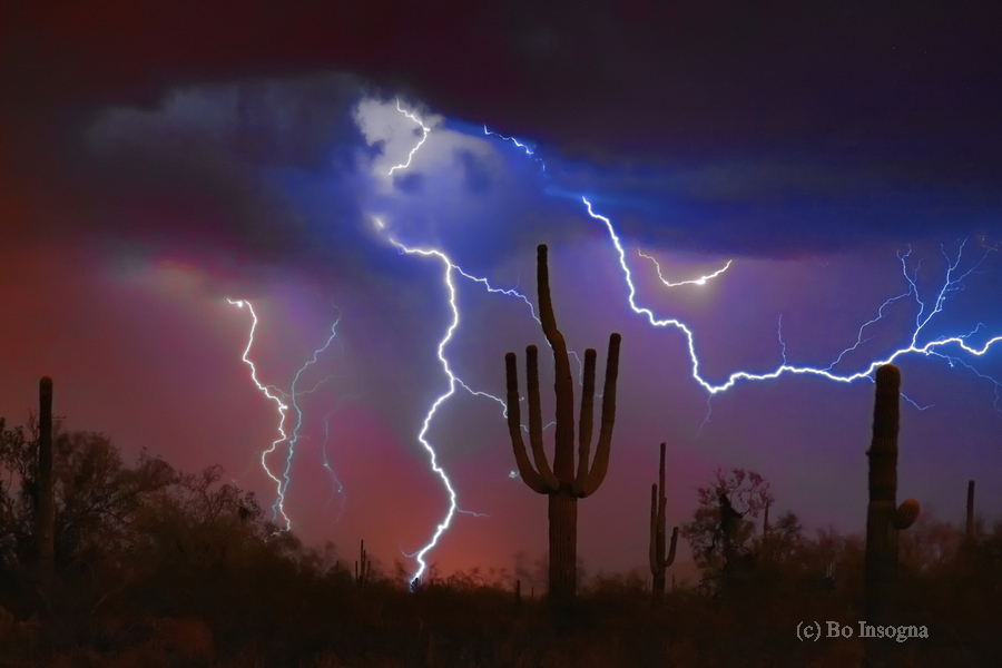 Saguaro Lightning Storm  Imprimer