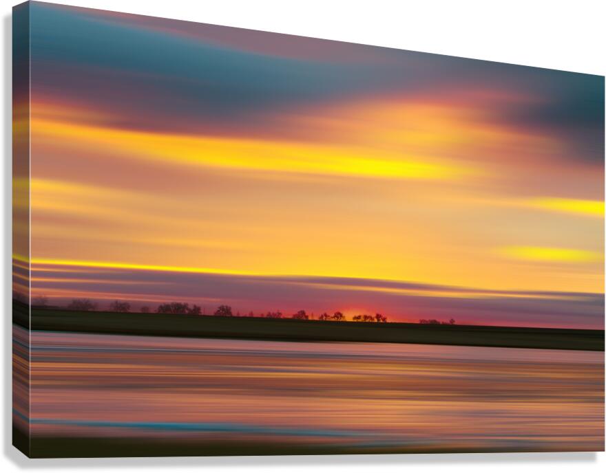 Colorful Tree Line Canvas Print