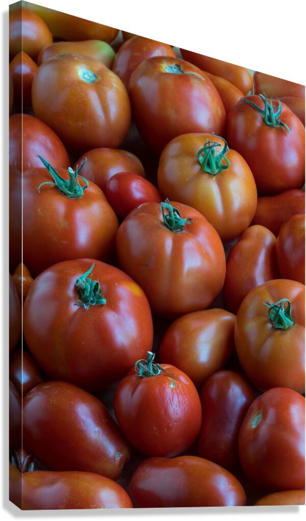 Fresh Ripe Tomatoes Canvas Print