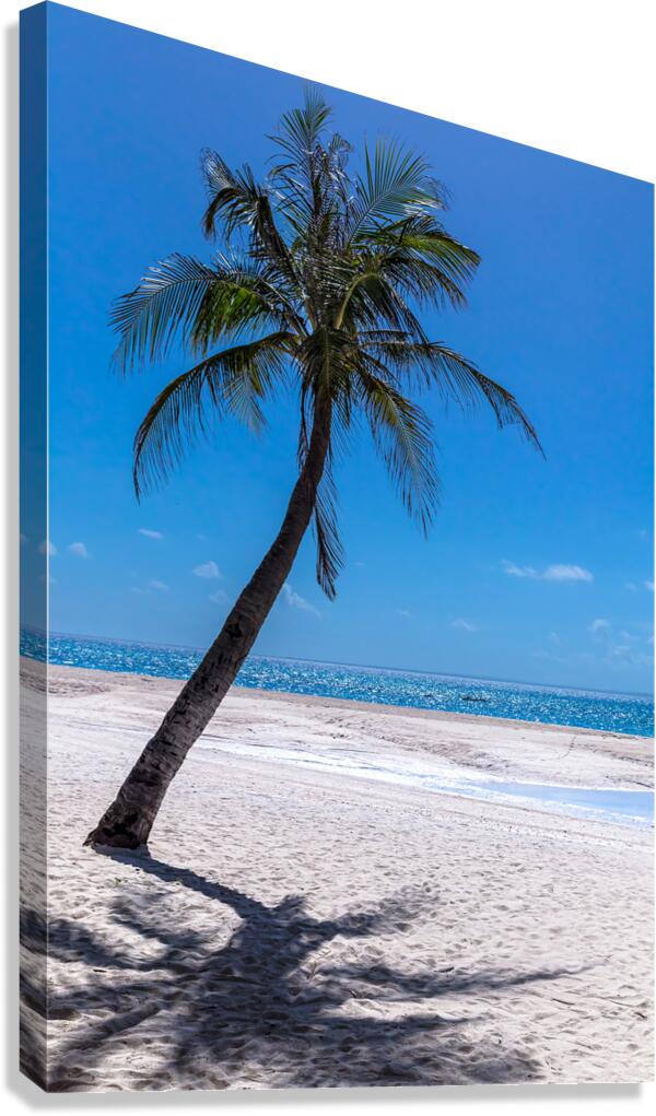 White Sand Beaches and Tropical Blue Skies Canvas Print
