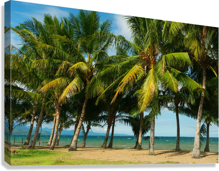 Stunning Palm Trees Swaying on the Shores of Negros Oriental Canvas Print