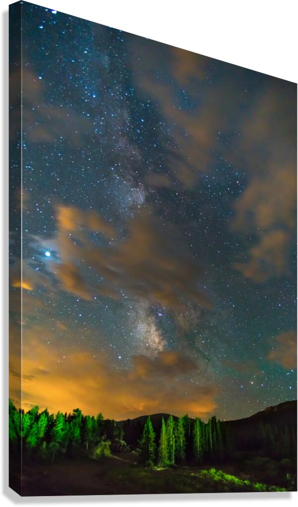 Forest In The Night Canvas Print