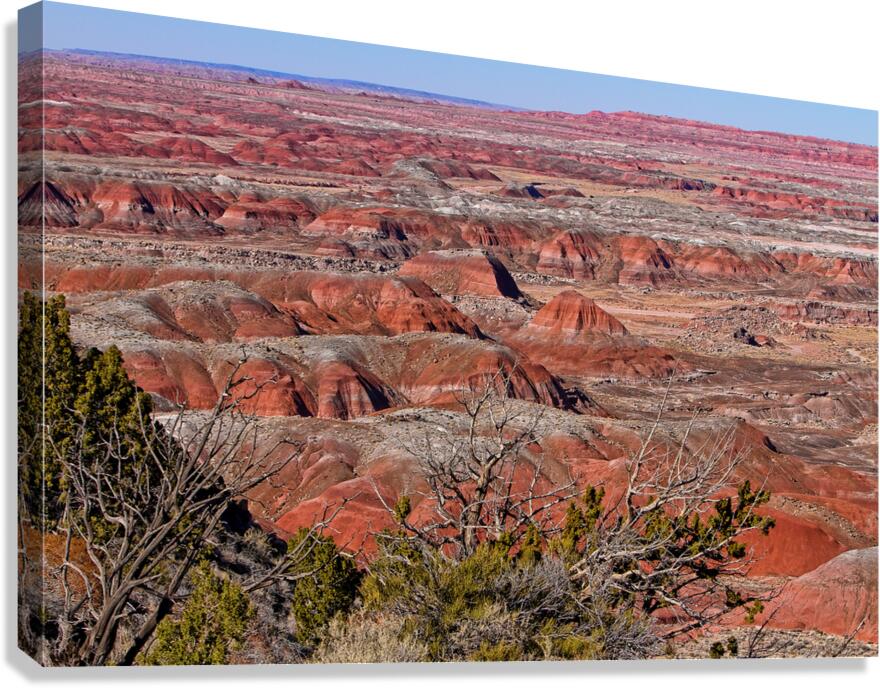 Painted Desert Horizons Arizona Canvas Print