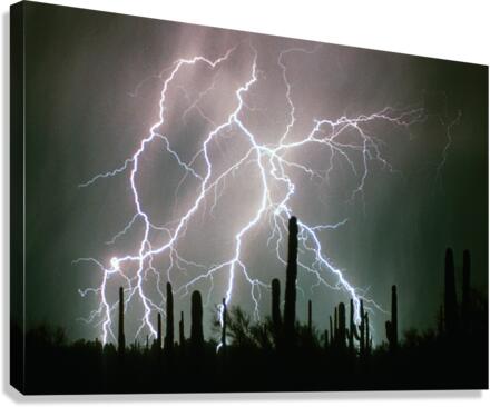 Striking Desert Canvas Print