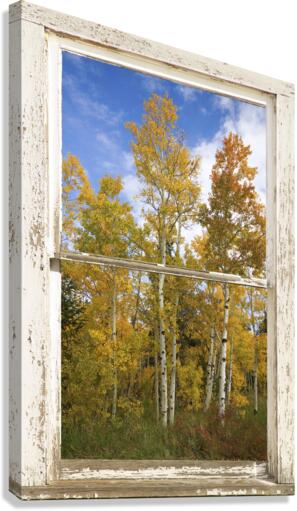 Colorado Autumn Aspens Nature Window View