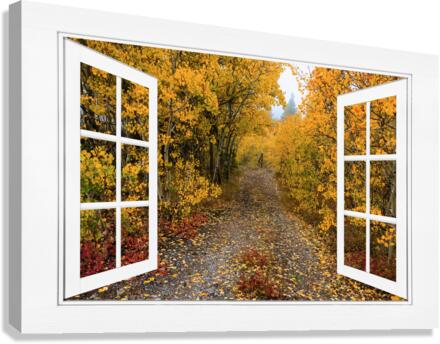 Colorful Trees Down the Drive White Open Window  Impression sur toile