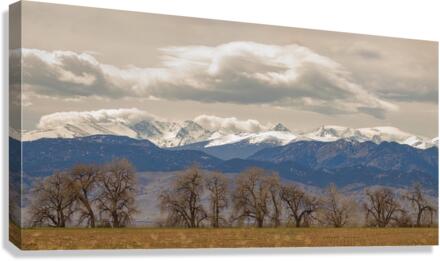 ROCKY MOUNTAIN FRONT RANGE PEAKS AND TREES PANO BO INSOGNA  Canvas Print