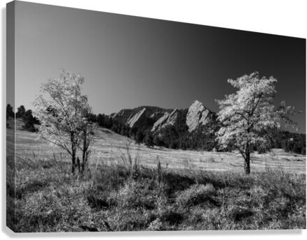 Boulder Colorado Flatirons Black White Canvas Print