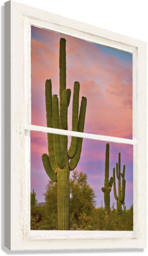 COLORFUL SOUTHEST WHITE DISTRESSED WINDOW VIEW BO INSOGNA  Canvas Print