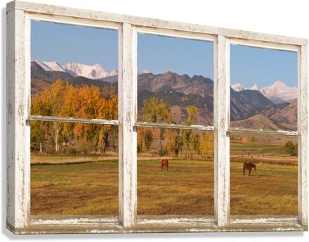 Horses Autumn White Barn Picture Window View