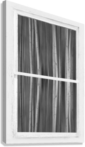 Surreal Dreamy Aspen Forest White Rustic Window Canvas print