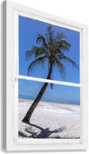Palm Tree Tropical Window View Canvas print