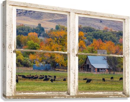 Pretty Colorful Country Rustic Window Frame