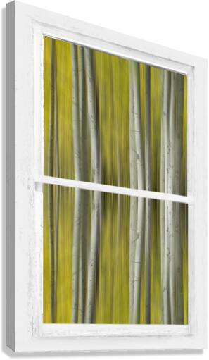 Surreal Dreamy Aspen Forest White Rustic Window  Impression sur toile