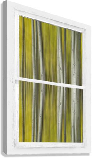 Surreal Dreamy Aspen Forest White Rustic Window Canvas Print