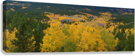 Colorado Autumn Panorama colorful Canvas Print