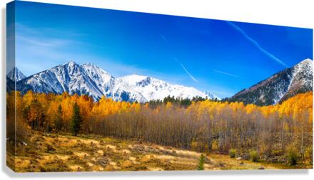 Colorado Rocky Mountain Independence Pass Fall Pano Canvas Print