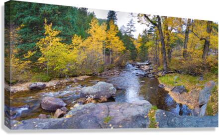 Colorado Autumn Creek Happy Place Panoramic Canvas Print