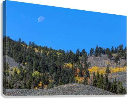 Autumn Moon Canvas Print