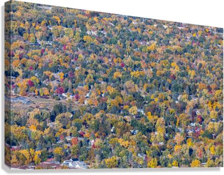 Colorful Trees Boulder Colorado Impression sur toile