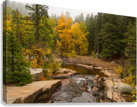 Downstream St Vrain Canvas Print