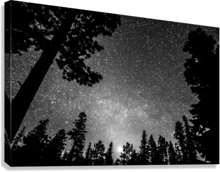 Dark Stellar Universe Deep Into The Night Canvas Print