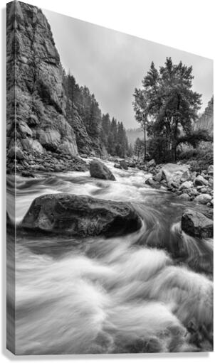 Colorado Black White Canyon Portrait Canvas Print