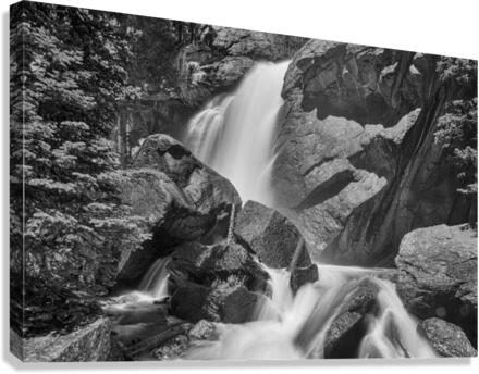 Colorado Ouzel Falls Black White  Canvas Print
