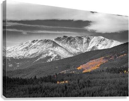Rocky Mountain Independence Pass Glow  Canvas Print