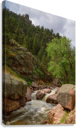 Getting Lost In A Canyon Creek  Canvas Print