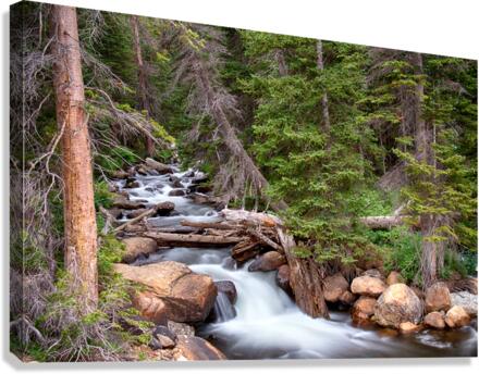 Rocky Mountains Stream Scenic Landscape Canvas Print
