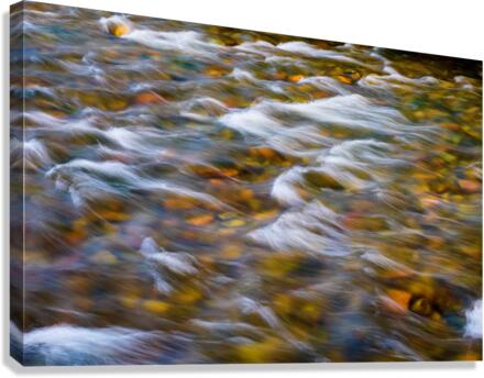 South Boulder Creek In Living Color Canvas Print