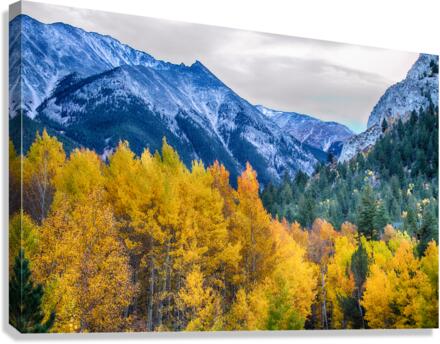 Colorful Crested Butte Colorado Canvas Print