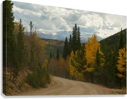 Dirt Road Paradise Cruising Canvas Print