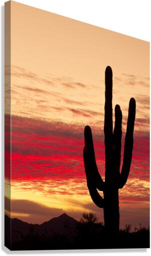 Tequila Sunrise Portrait Canvas Print