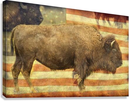 American Buffalo Impression sur toile