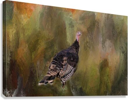 Wild Native Merriam Turkey  Impression sur toile