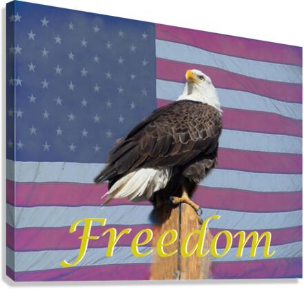 American Freedom  Impression sur toile