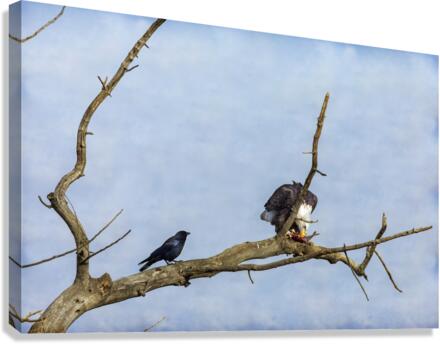 Will You Share Canvas Print