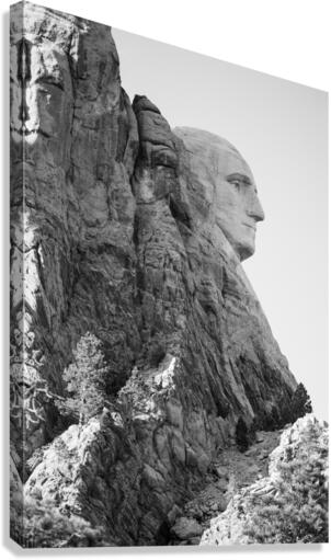 Silent Majesty George Washingtons Profile at Mount Rushmore