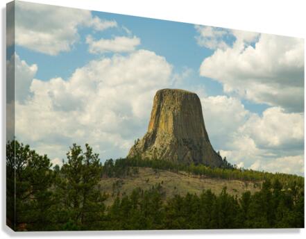 Majestic Devils Tower in Wyoming Amidst Pine Forest Canvas Print