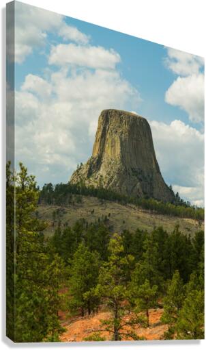 Majestic Devils Tower in Wyoming Surrounded by Pine Forest Canvas Print