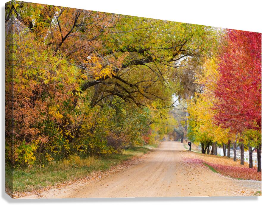 Autumns Country Retreat - A Canopy of Color  Impression sur toile
