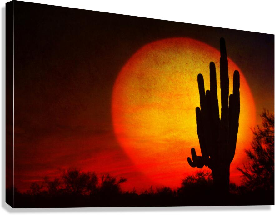 Big Sun Saguaro Sunset  Impression sur toile